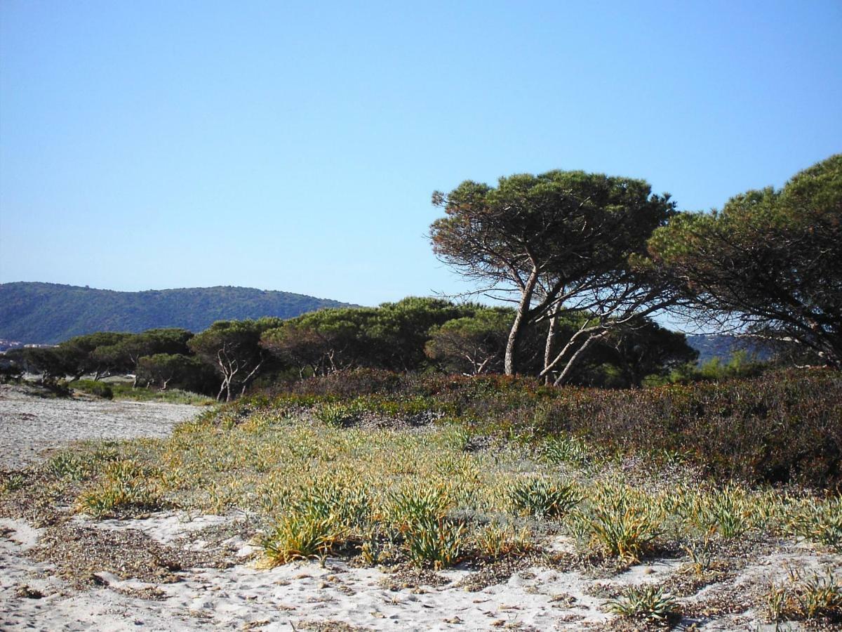 La Cuppulata Διαμέρισμα Budoni Εξωτερικό φωτογραφία